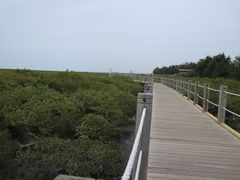 -北海金海湾红树林生态旅游区