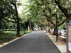 -花溪公园