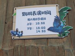 -南宫五洲植物乐园