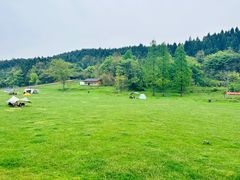 -武陵山森林公园