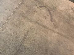 -喜茶(上海兴业太古汇店)