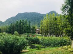 -贵阳市花溪国家城市湿地公园