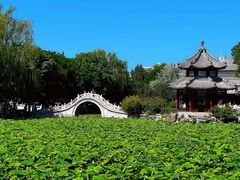 -莲池书院博物馆