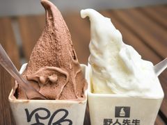 -野人先生现做冰淇淋(北京环宇荟店)
