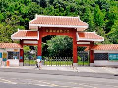 -天鹿湖森林公园