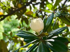 -御花园·粤菜·海鲜火锅(中山公园店)
