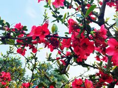 -中国天府农业博览园