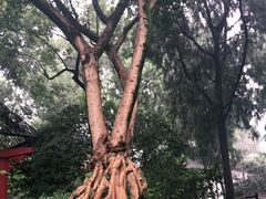 -成都武侯祠博物馆