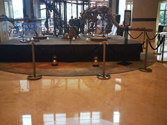-郑州美盛喜来登大酒店