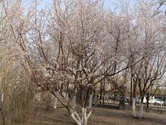 -水西公园