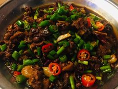 -新白鹿餐厅(城西银泰城店)