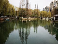 -温江公园