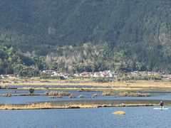-腾冲北海湿地
