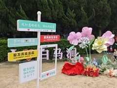 -白马涧龙池景区