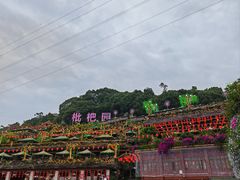 -枇杷园食为鲜火锅(南山店)