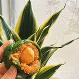 青团界的两大巨头-都喜欢💕