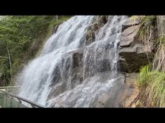 -九龙江国家森林公园