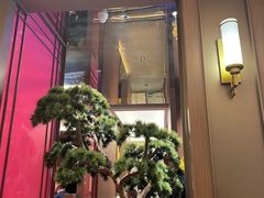 -老家水饺濮阳菜(巴黎街店)