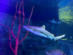 -沈阳海洋探索中心