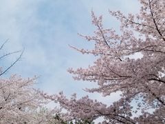 -西安青龙寺遗址景区
