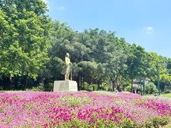 -南宁南湖公园