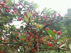 -金堂县云顶石城风景区