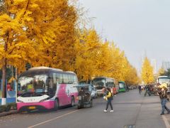 -四川大学(望江校区)