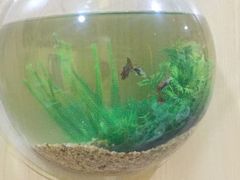 -金宝贝早教(和悦汇店)