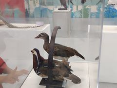 -陕西科学技术馆