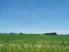 -威勒比开放式动物园