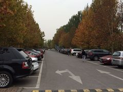 -Lucy水世界游泳学校(望京馆)