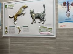 -瑞派名望志远动物医院·猫科·內科·异宠专科(直港大道店)