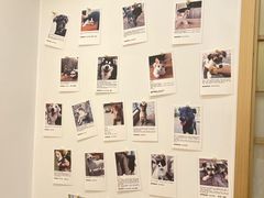 -经福元·推拿·艾灸(广兰路店)