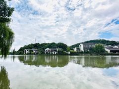 -鲁镇