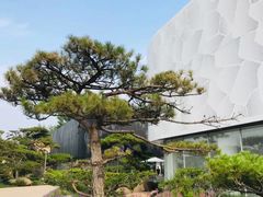 -罗红摄影艺术馆