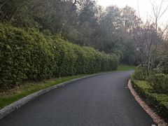 -天目湖涵田度假村