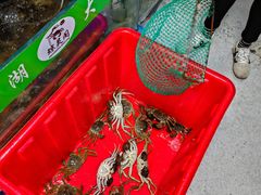 -阳澄湖大闸蟹·琼灵阁牌品牌连锁(吴中总店)