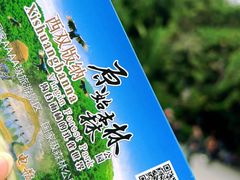 -西双版纳原始森林公园