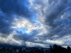 -才村湿地公园