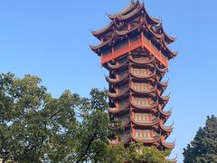 -塔子山公园