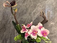 -盆满钵满·国家非遗传承(云台店)