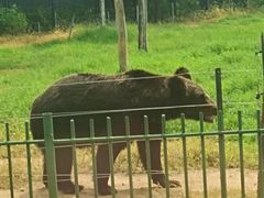 -秦皇岛野生动物园
