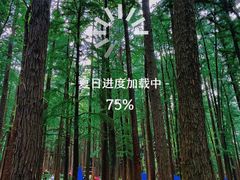 -上海共青森林公园