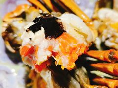-HOMES上海本帮菜(襄阳公园店)