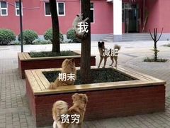 -五台山健身馆
