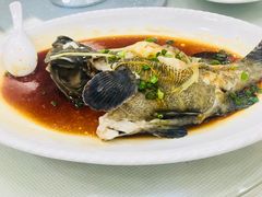 清斑-新享乐海鲜(翠华路店)