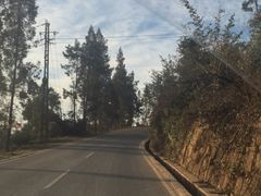 -长虫山生态公园风景林