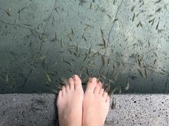 -扬州瘦西湖温泉