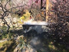 -无锡梅园公园