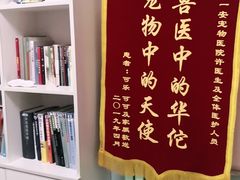 -特一安24小时宠物医院·骨科·中兽医